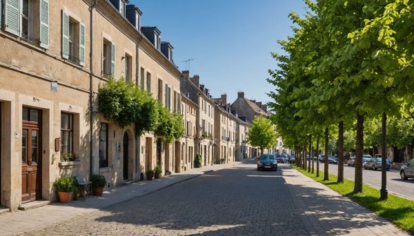 Découvrir les quartiers attractifs de Montgeron : avantages et commodités