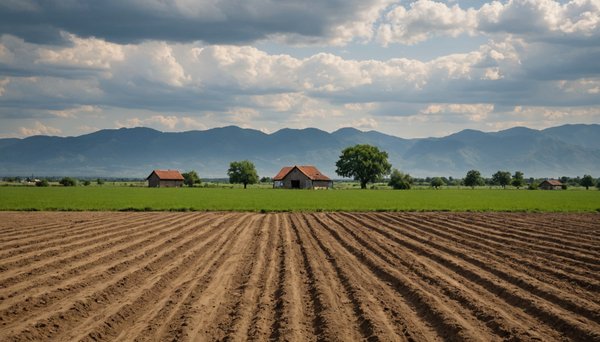 Les avantages d'un terrain prêt à construire pour bâtir sereinement